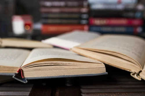 Conheça as bibliotecas históricas da Itália, sua história, acervos essenciais e importância cultural. Um guia completo para amantes da cultura italiana.