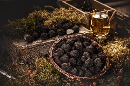 Descubra como funciona a caça às trufas na Itália, patrimônio imaterial da Unesco, com cães treinados, tartufaios e temporadas precisas.