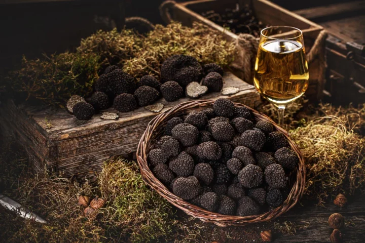 Descubra como funciona a caça às trufas na Itália, patrimônio imaterial da Unesco, com cães treinados, tartufaios e temporadas precisas.