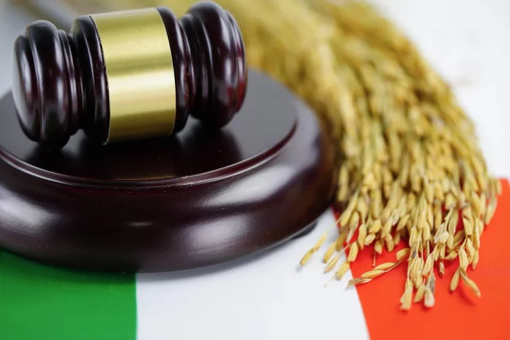 Imagem que representa o custo da cidadania italiana via judicial