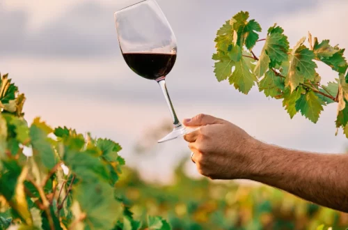 O enoturismo na Itália é uma das formas mais completas de vivenciar o país, unindo vinho, paisagem, história e cultura local.