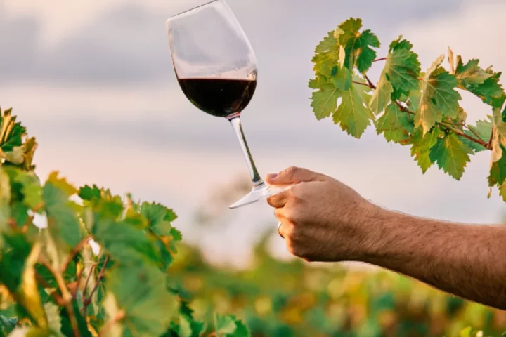 O enoturismo na Itália é uma das formas mais completas de vivenciar o país, unindo vinho, paisagem, história e cultura local.