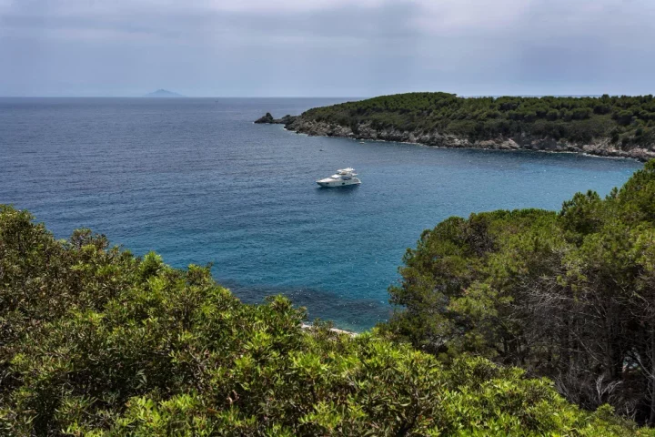 A Ilha de Elba vai muito além de Napoleão: conheça sua geologia singular, povos antigos, fortalezas e biodiversidade no Mediterrâneo.