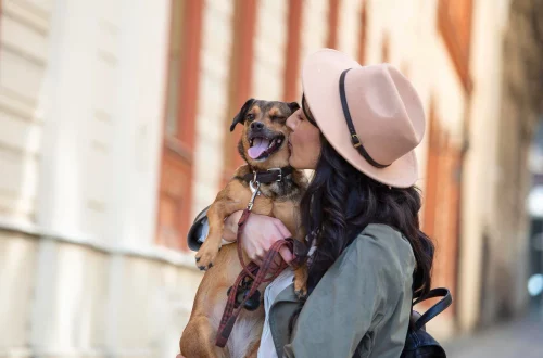 Descubra como é ter pets na Itália — regras, registro, direitos dos animais, parques e a cultura italiana de cuidado com os bichos de estimação.