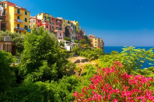 A primavera italiana transforma jardins históricos e parques em espetáculos de cor e perfume. Saiba onde e quando visitar os melhores espaços floridos da Itália.