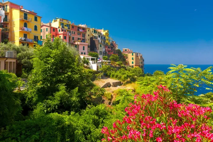 A primavera italiana transforma jardins históricos e parques em espetáculos de cor e perfume. Saiba onde e quando visitar os melhores espaços floridos da Itália.